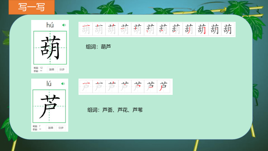 14我要的是葫芦 课件(共22张PPT)