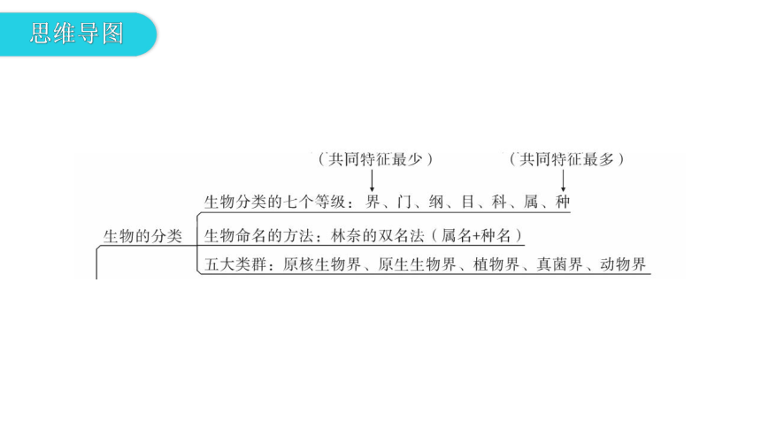 22 章末总结 课件 2020-2021学年八年级生物下册（北师大版）（36张PPT）