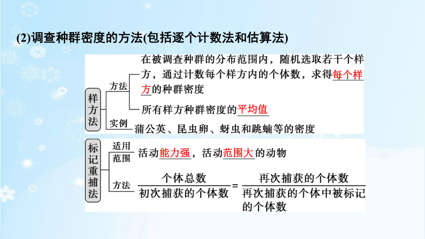 1.1　种群的数量特征(共50张PPT)