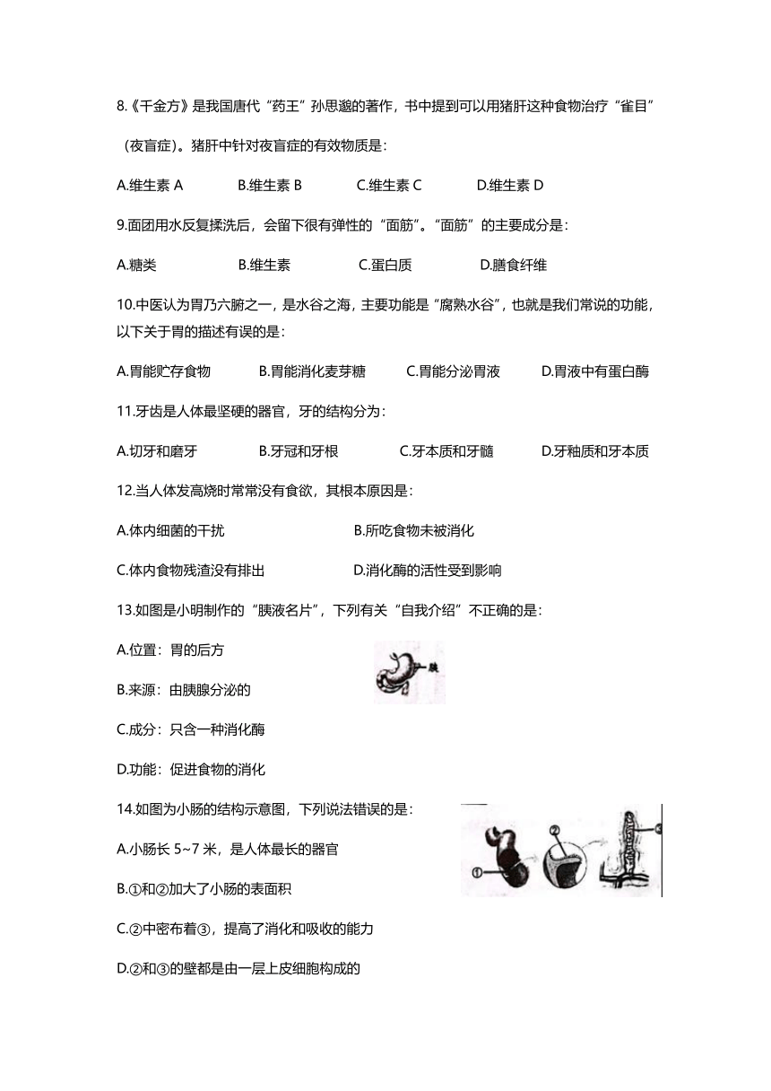辽宁省鞍山市铁东区2022-2023学年七年级下学期期中生物试卷（含答案）
