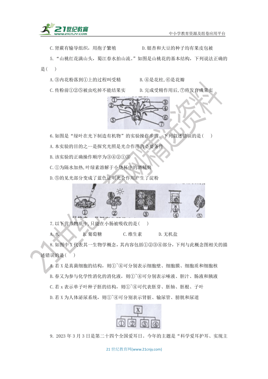 八年级生物下册  期末综合测试题（含答案）