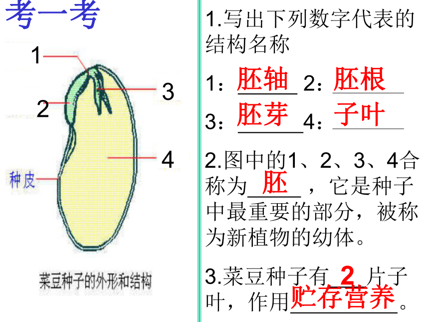 第三节 果实和种子的形成课件 第2课时（27张PPT）