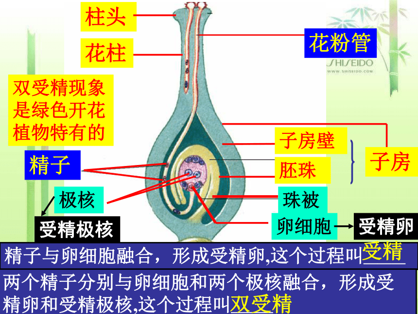 初中生物济南版八年级上册本册综合生物八年级上册总复习(济南版).ppt（160张PPT）