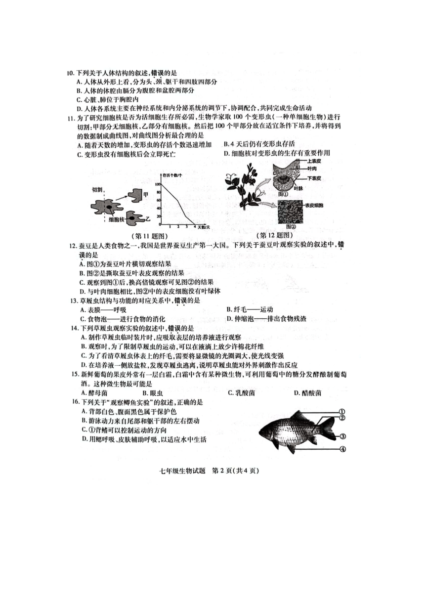 江苏省徐州市睢宁县、丰县2022-2023学年七年级下学期期中学情调研生物试卷（图片版无答案）