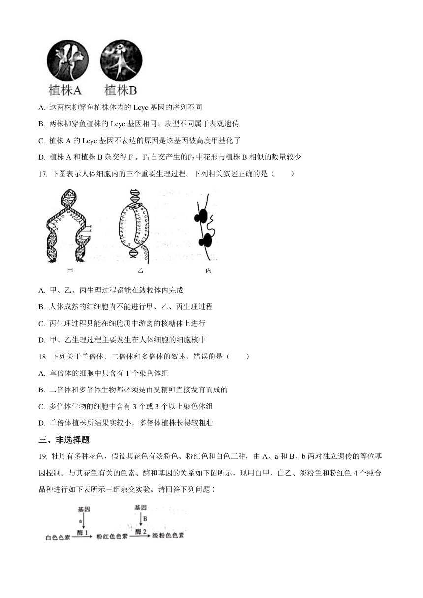 河北省邢台市2020-2021学年高一下学期6月第三次月考生物试题 Word版含答案