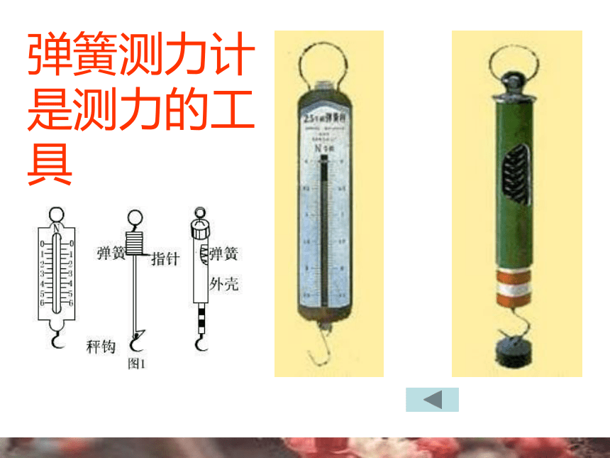 1.1走进实验室：学习科学探究 课件2022-2023学年教科版八年级物理上册(共15张PPT)