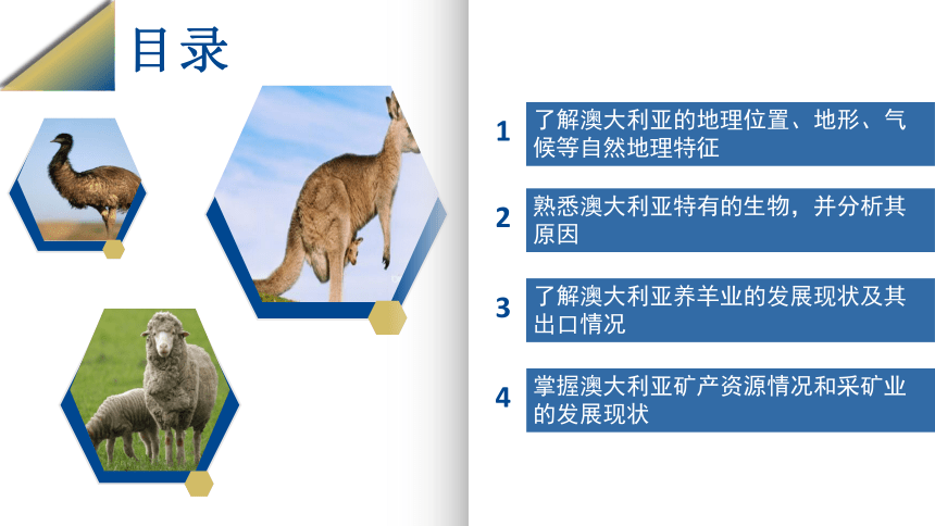 【推荐】8.4《澳大利亚》 同步课件(共22张PPT) 2022-2023学年人教版七年级地理下册