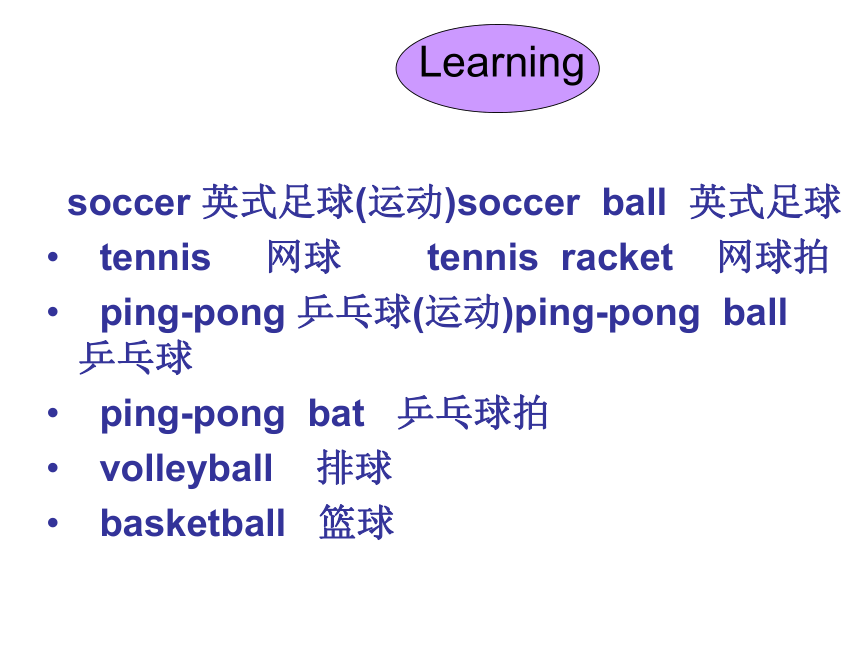 人教新目标(Go for it)版七年级英语上册Unit 5 Do you have a soccer ball?（共有PPT21张）