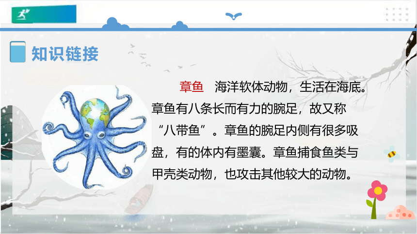 23《海底世界》课件（共49张PPT）