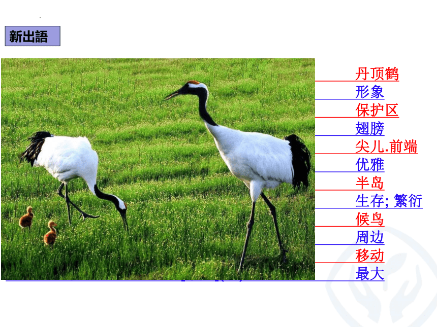 第8課 タンチョウの保護 课件（43张）