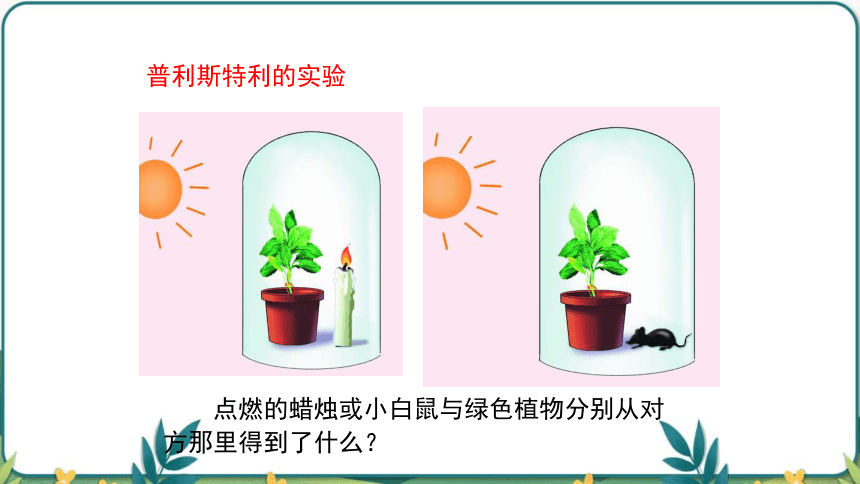 3.5.1光合作用吸收二氧化碳释放氧气课件(共45张PPT) 2022-2023学年人教版生物七年级上册