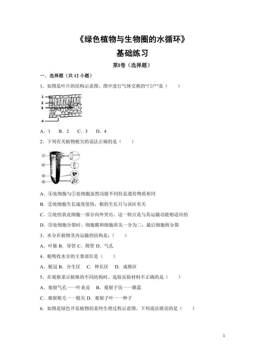 人教版第3单元第3章《绿色植物与生物圈的水循环》基础练习（word版 含答案）