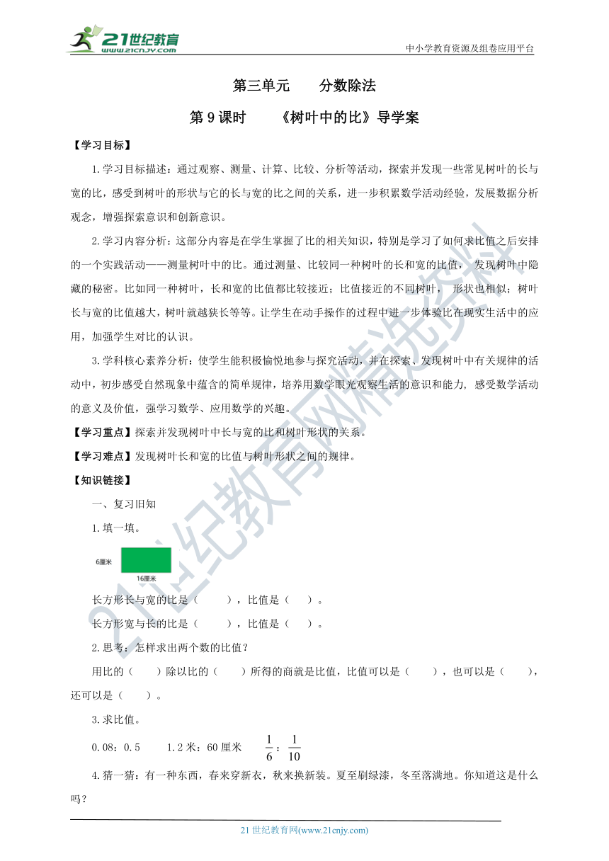 新课标苏教版六上3.9《树叶中的比》导学案