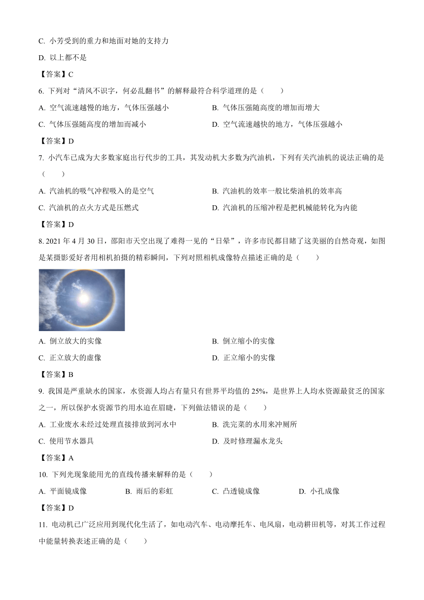 2021年湖南省邵阳市中考物理试题（Word版，含解析）