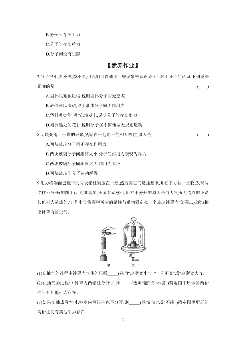 2023-2024学年物理教科版九年级上册 课时作业 1.1 分子动理论（含答案）