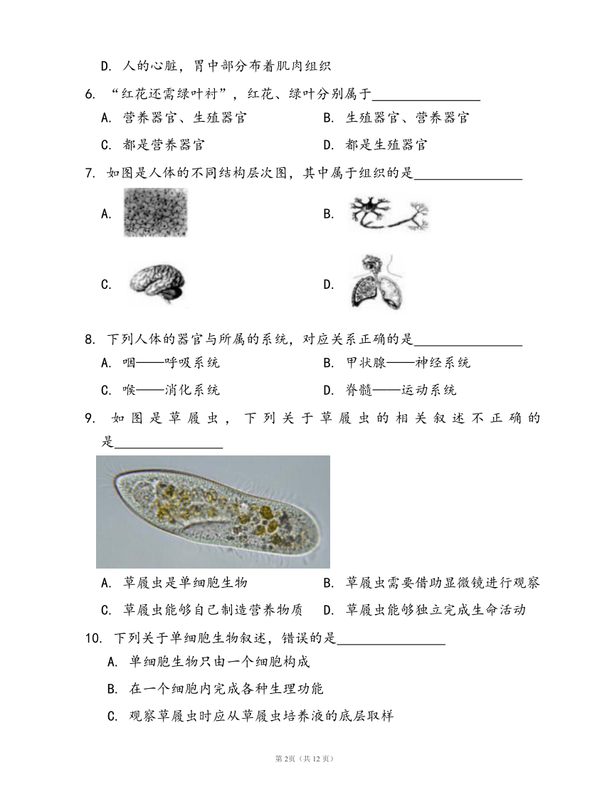 人教版七年级生物上册第二单元第二章 细胞怎样构成生物体随堂练习（word版含答案）