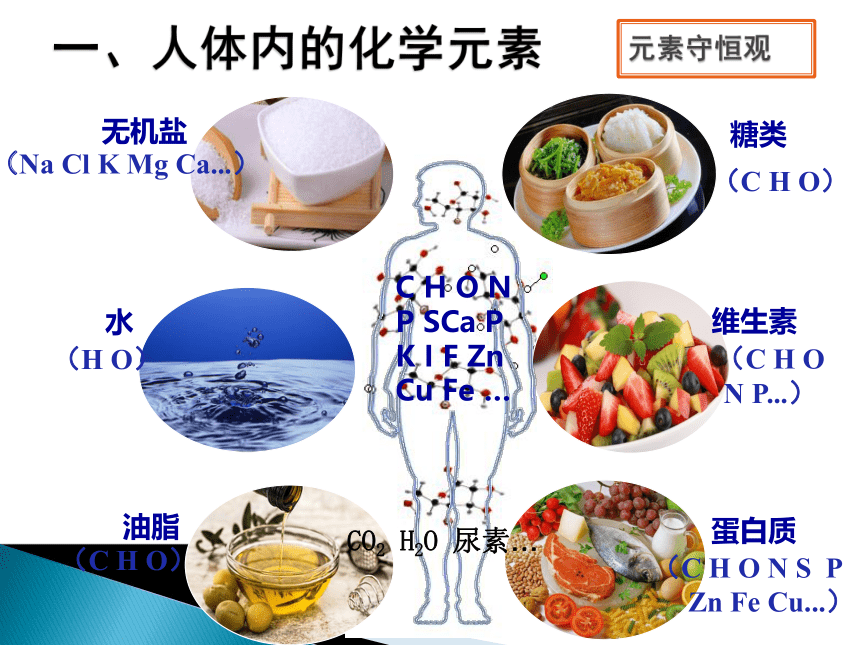 第五单元第二节化学元素与人体健康教学课件（31张幻灯片含内嵌视频）-2021-2022学年九年级化学鲁教版五四制全一册