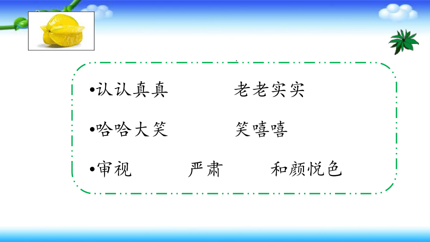 13 画杨桃 （课件）(共25张PPT)