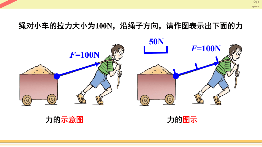 【课件】初中物理八年级下册期中复习1力 (共43张PPT)