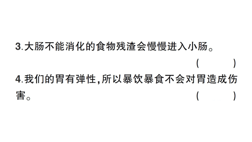 教科版（2017秋） 四年级上册科学2.8 食物在身体里的旅行习题课件（17张PPT)