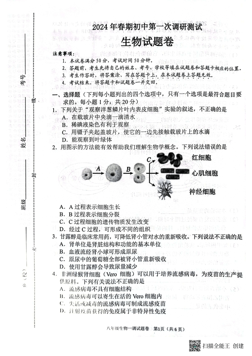 2024年河南省南阳市八年级第一次调研测试生物试题（pdf版无答案）