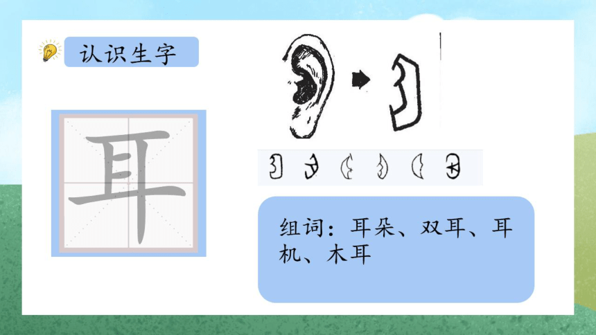 3 口耳目 课件(共22张PPT)