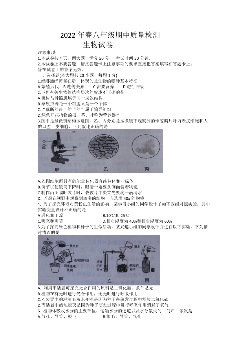 河南省商丘市柘城县2021-2022学年八年级下学期期中考试生物试题（Word版 含答案）