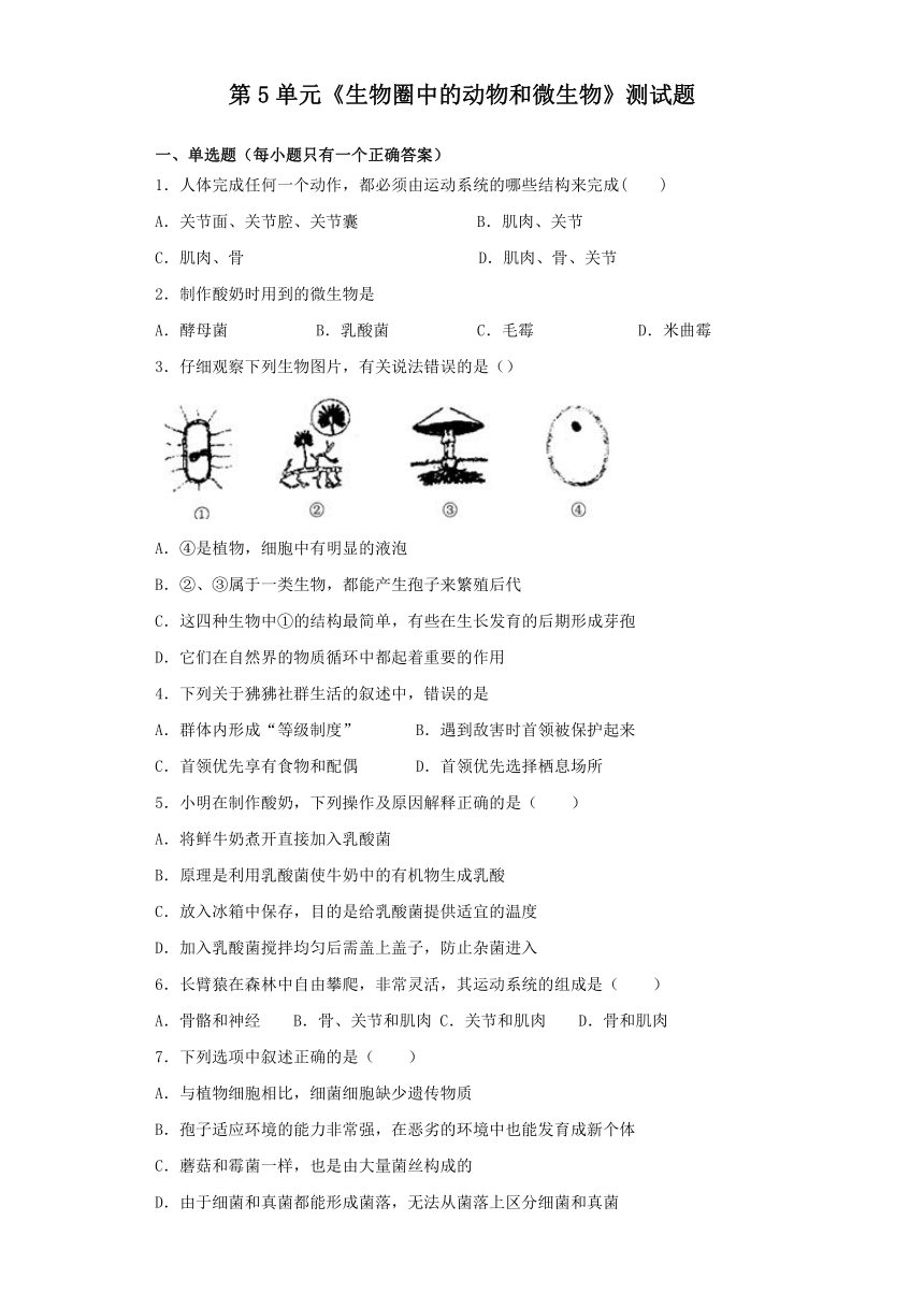 北师大版初中生物八年级上册第5单元《生物圈中的动物和微生物》测试题（含答案）