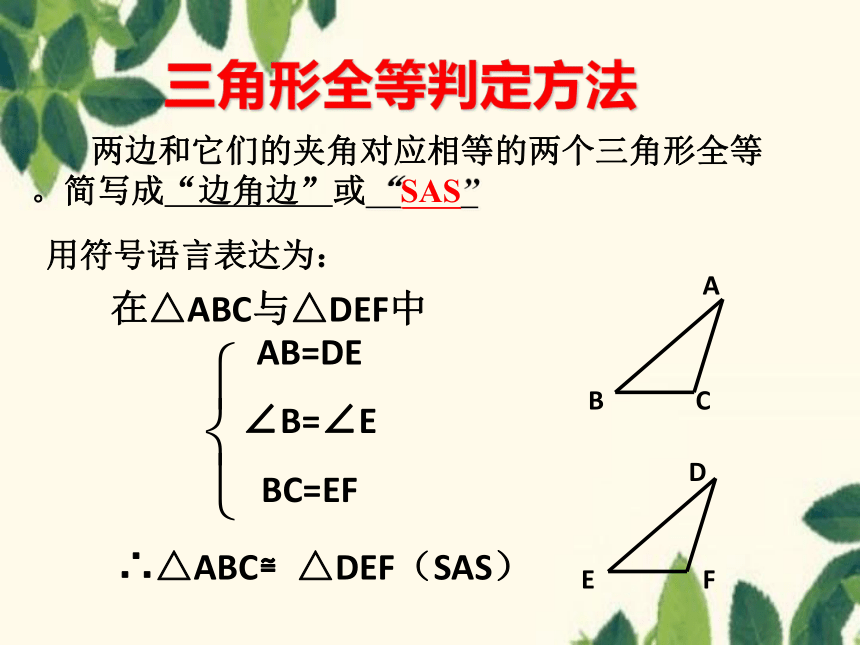 鲁教版（五四学制）七年级上册第一章 三角形1.3探索三角形全等的条件（3）课件(共20张PPT)