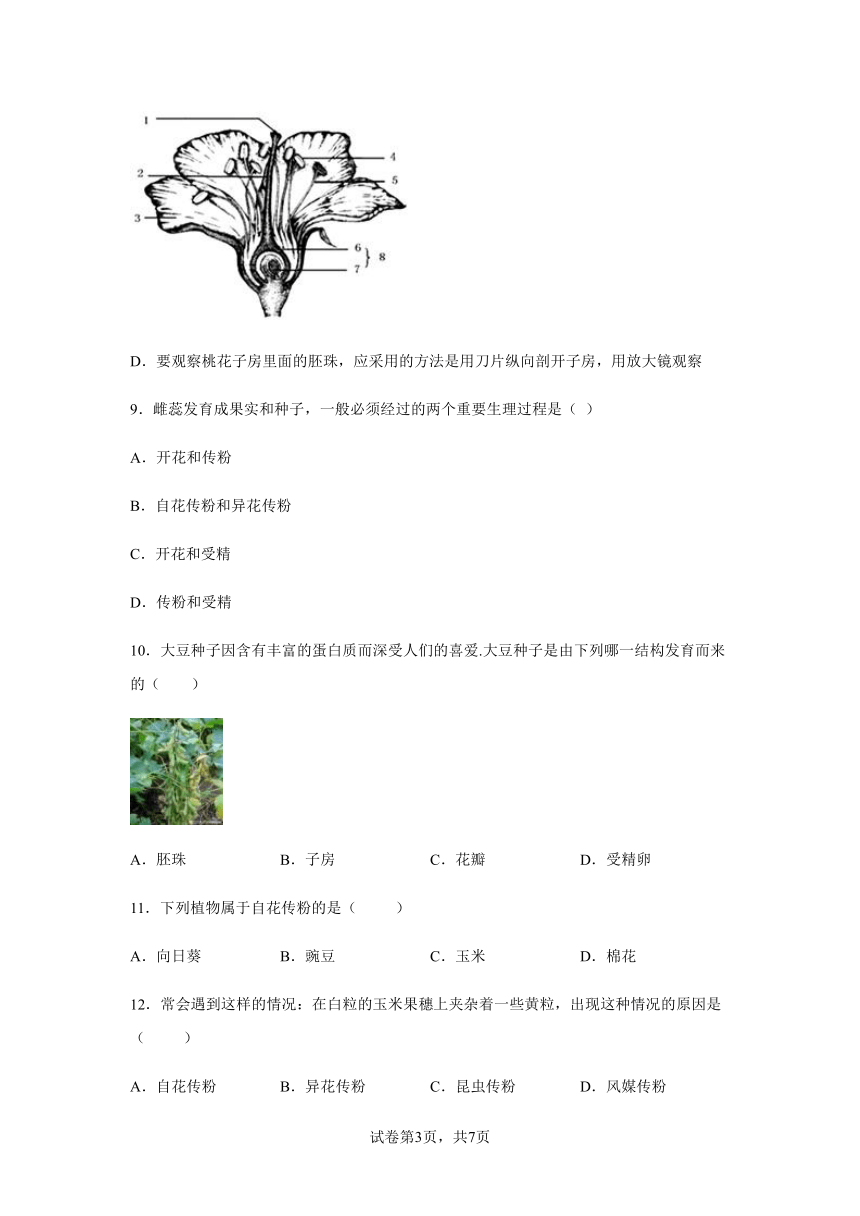 7.1绿色开花植物的有性生殖和发育达标练习（含答案）