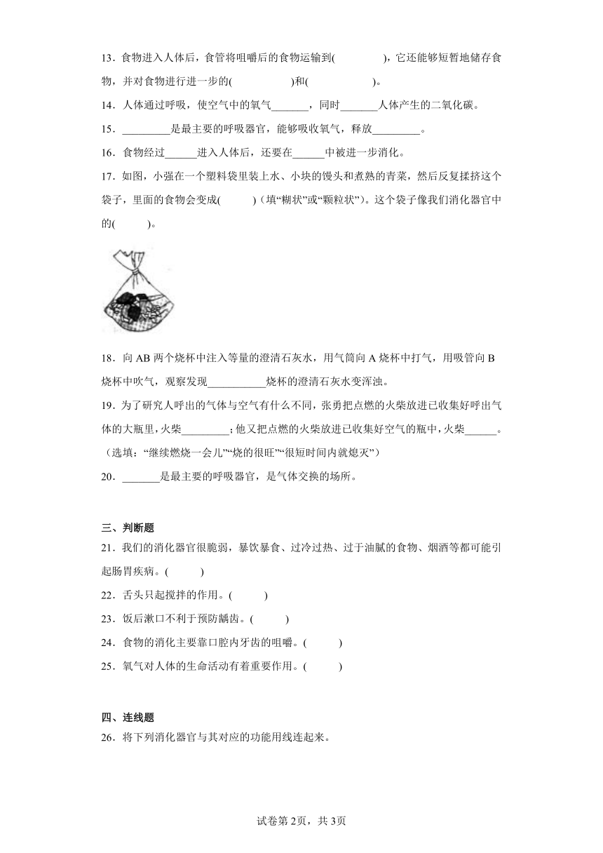 冀人版四年级下册科学第四单元爱护身体测试卷（含答案）