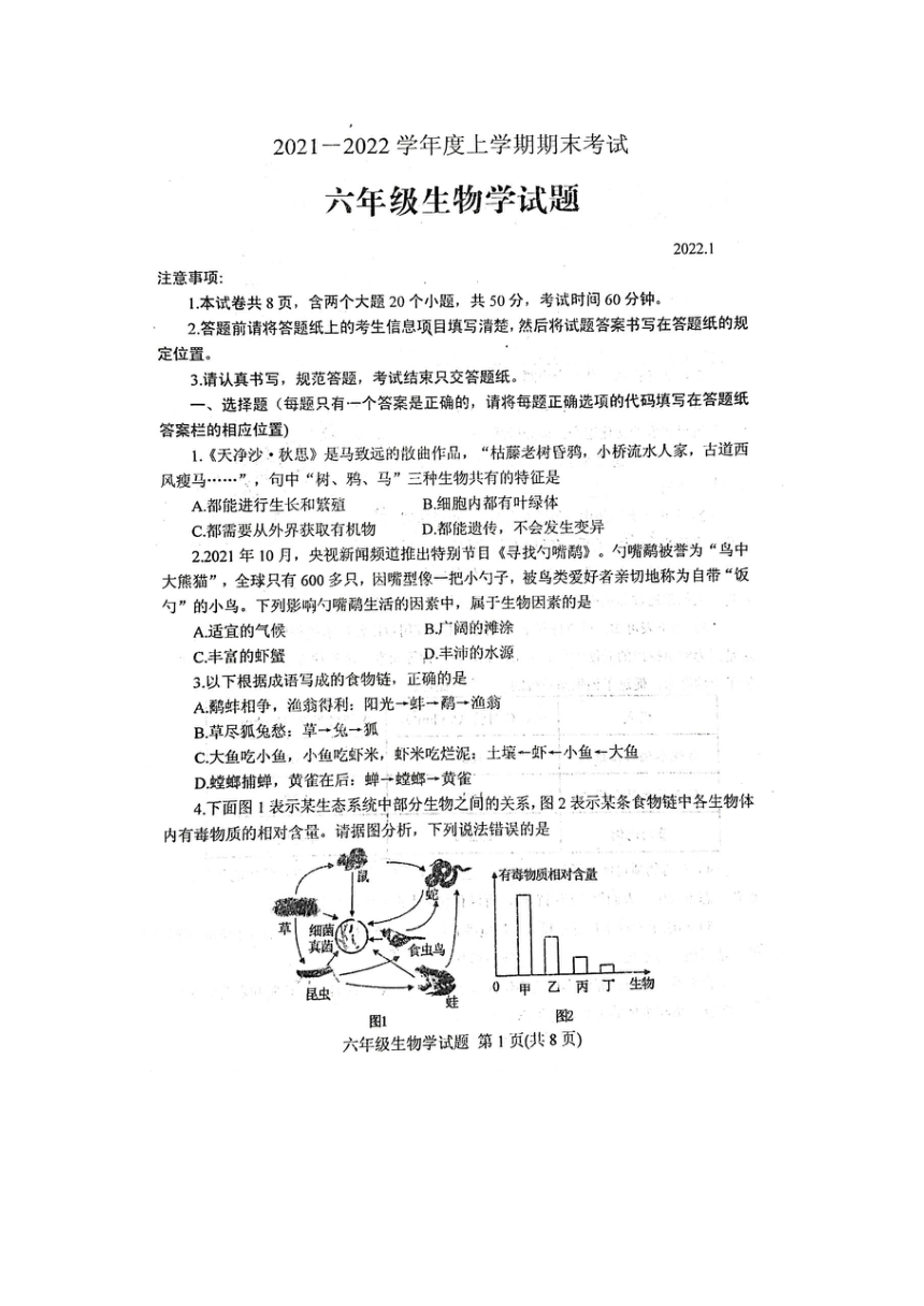 山东省肥城市（五四学制）2021-2022学年六年级上学期期末考试生物试题（扫描版无答案）