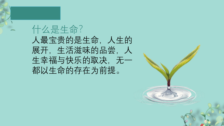 生命教育：生命的美好课件2021—2022学年通用版心理健康教育七年级下册（23张PPT+视频）