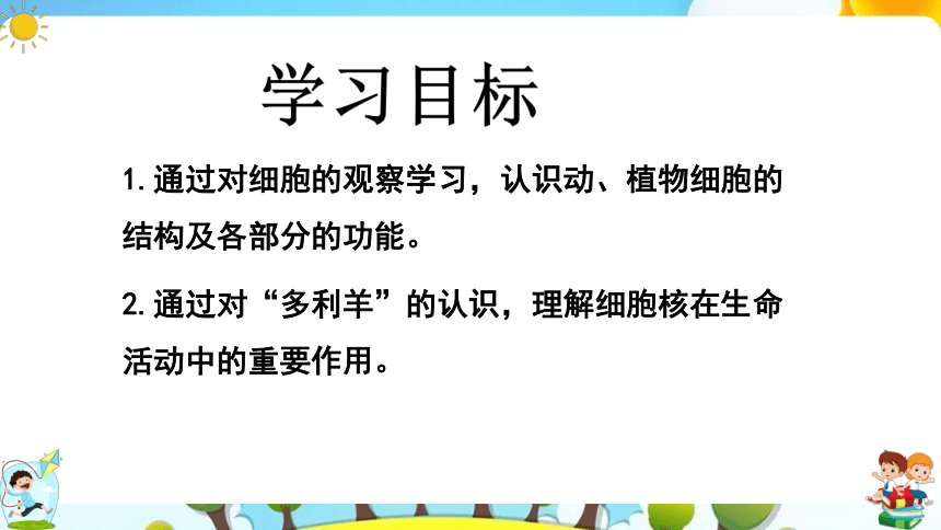 8.1 生物体的基本结构（第2课时）课件（共43张PPT）七年级下册生物（苏科版）