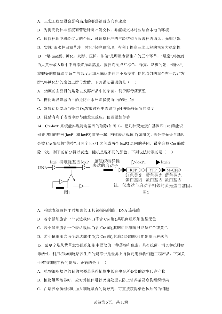 2023届山东省聊城市高三三模生物试题（含解析）