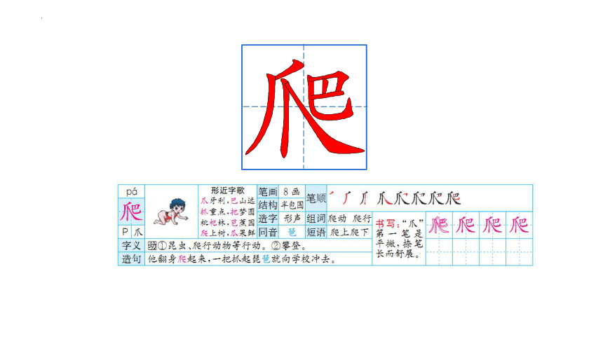 20 小壁虎借尾巴 课件(共21张PPT)