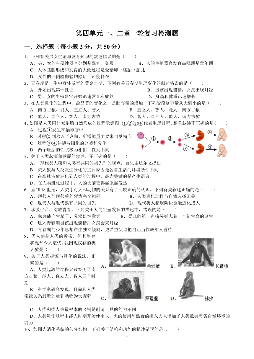 人教版 第四单元一、二章一轮复习检测题（含答案）