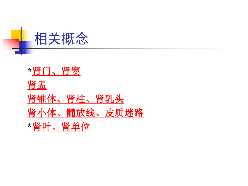 7.泌尿系统  课件(共55张PPT) - 《畜禽解剖生理学》同步教学（高教版）