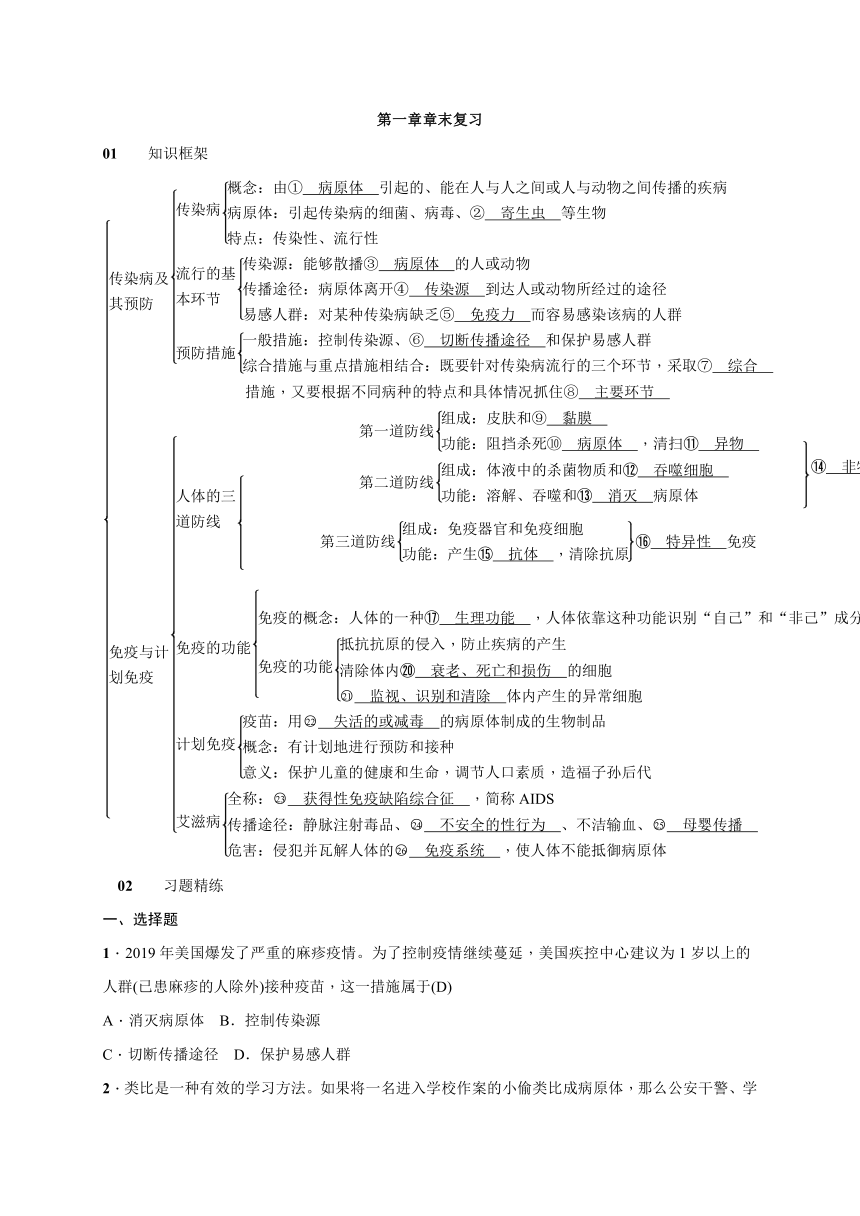 2020-2021学年人教版八年级生物下册   8.1传染病和免疫 章末复习 检测（知识点 基础 能力提升）