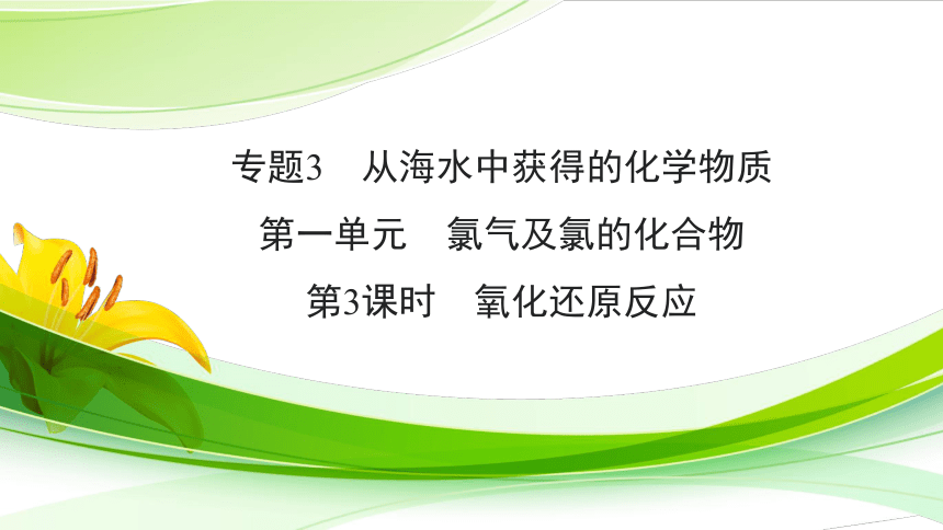 高中化学苏教版2019必修一  3.1.3 氧化还原反应  课件（43张PPT）