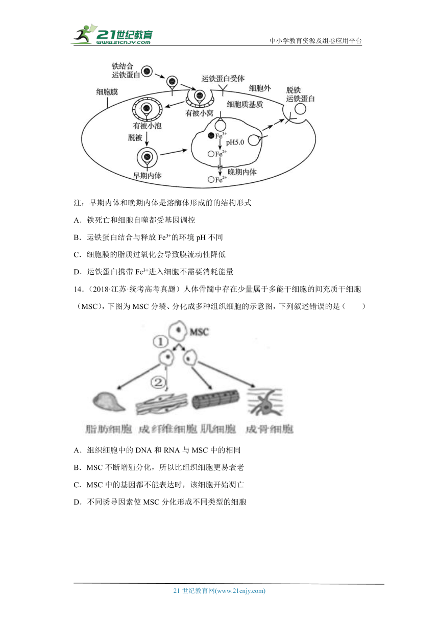 五年2018-2022高考生物真题按知识点分类汇编29-细胞的死亡（含解析）