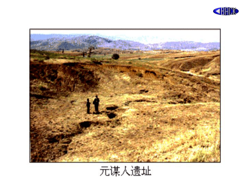 人教部编版七年级上册第1课中国境内早期人类的代表—北京人  课件（共20张PPT）