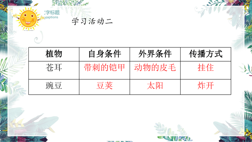 3 植物妈妈有办法 第二课时（课件）(共14张PPT)