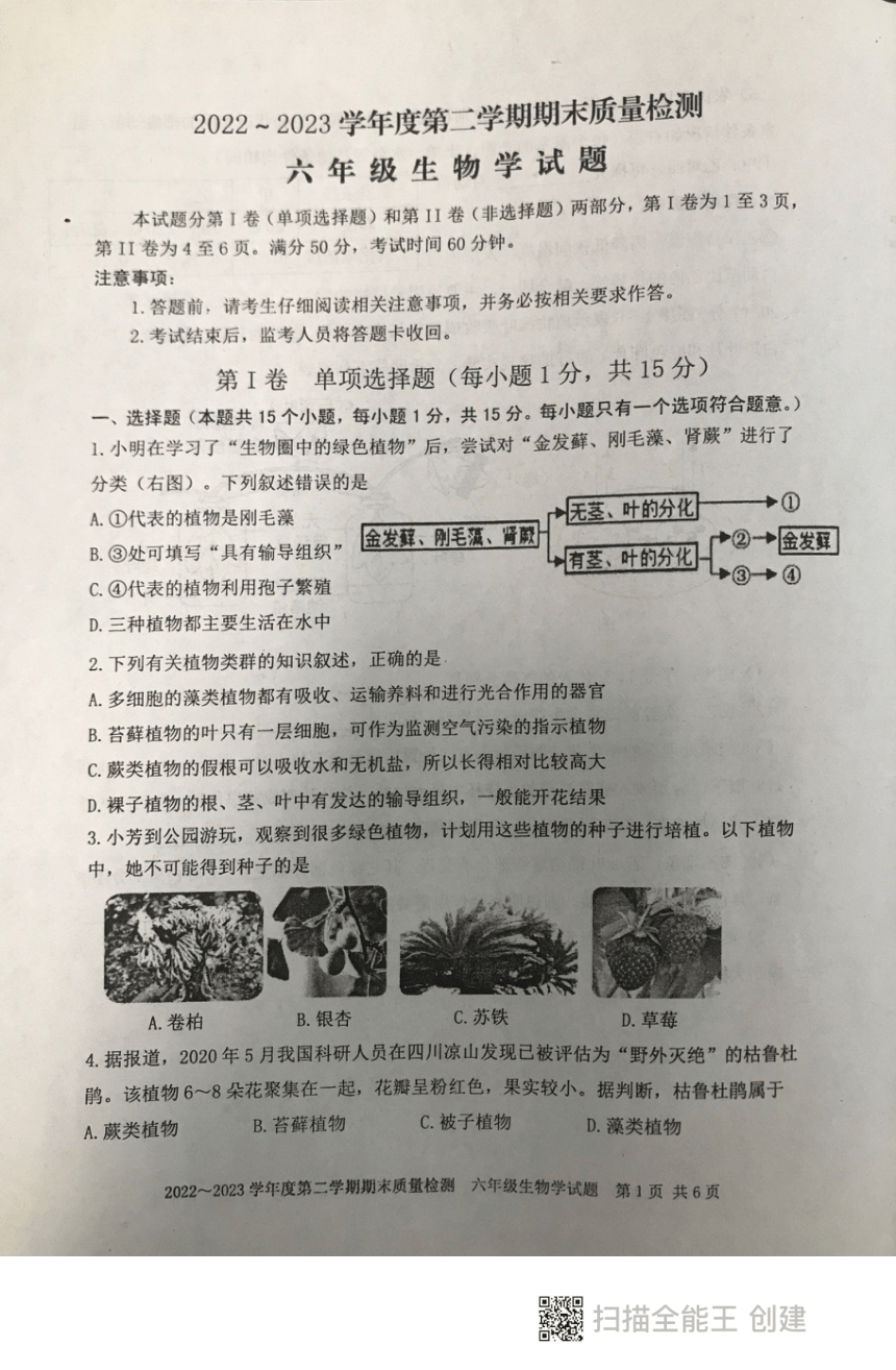 山东省泰安市东平县2022-2023学年六年级下学期期末考试生物试题（PDF版无答案）