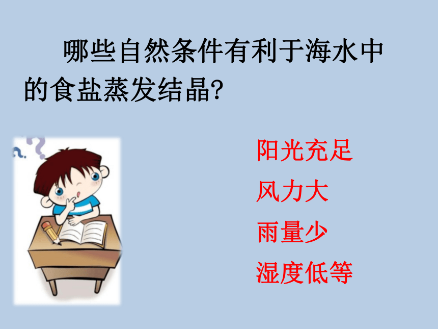 2020-2021学年九年级化学鲁教版下册8.2海水“晒盐” (共31张PPT)