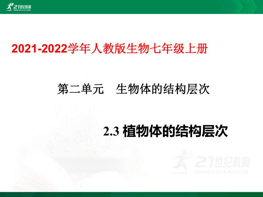 2.2.3 植物体的结构层次（课件）（共18张PPT）