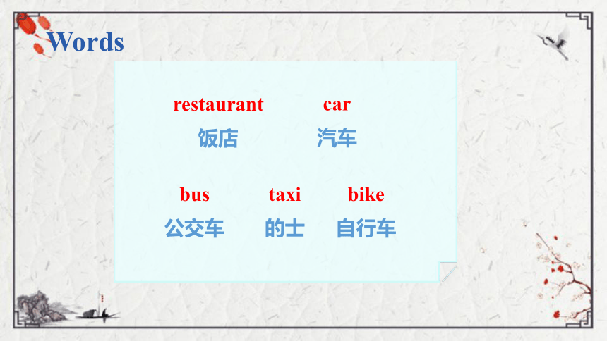 Unit 3 Lesson 16 Cars and Buses课件（13张PPT)