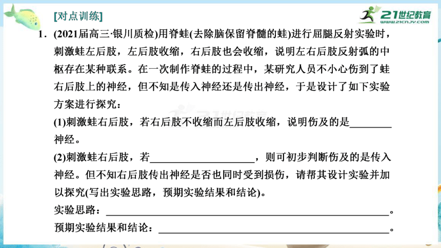 高三生物三轮复习专项突破10  生命活动调节相关实验分析与探究（共29张PPT）