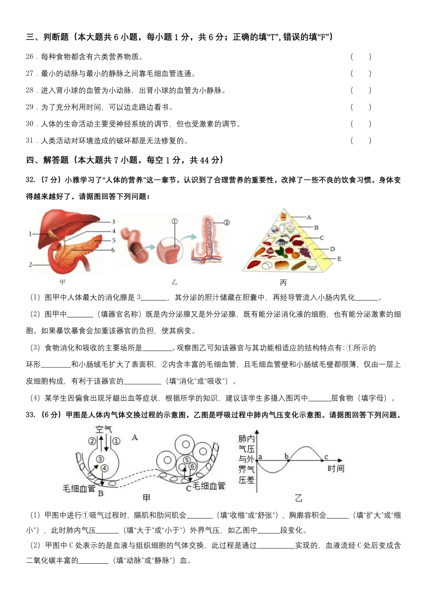湖南省衡阳市石鼓船山实验中学2022-2023学年七年级下学期期末考试生物试题（含答案）