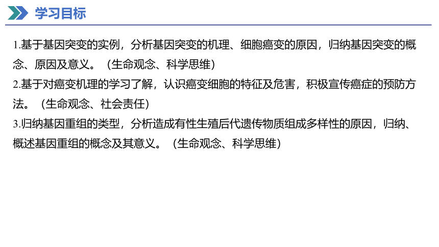 5.1 基因突变和基因重组 课件(共37张PPT) 2023-2024学年高一生物人教版（2019）必修第二册